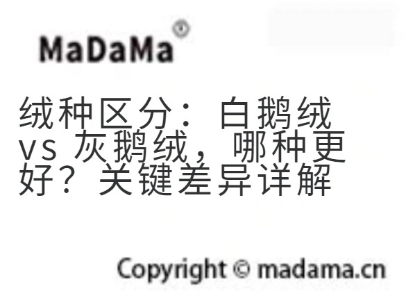 绒种区分：白鹅绒 vs 灰鹅绒，哪种更好？关键差异详解