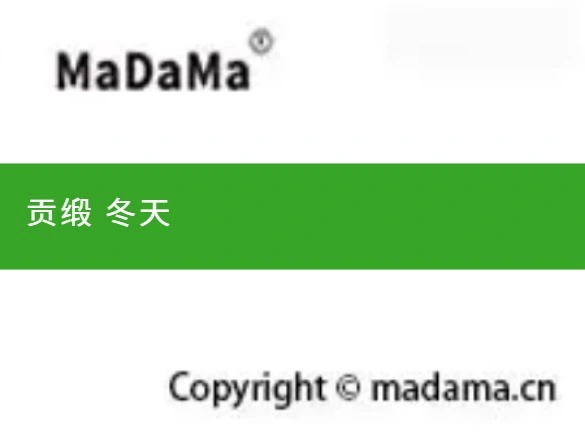 贡缎 冬天
