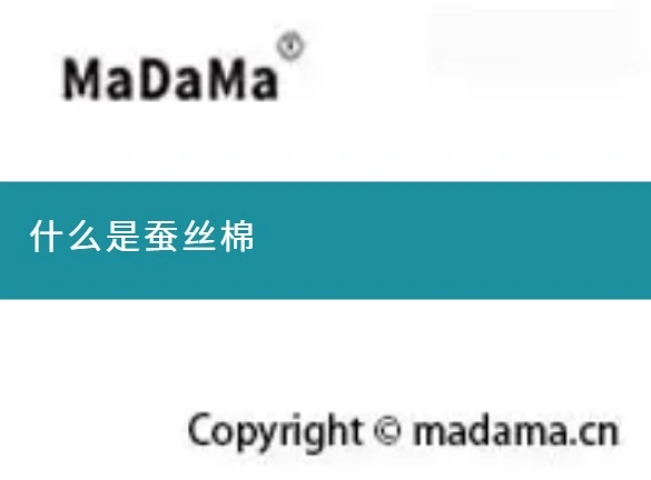 什么是蚕丝棉