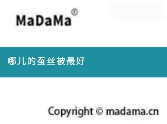 哪儿的蚕丝被最好