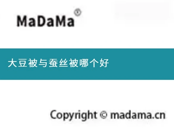 大豆被与蚕丝被哪个好