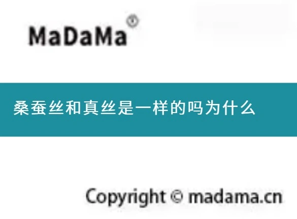 桑蚕丝和真丝是一样的吗为什么