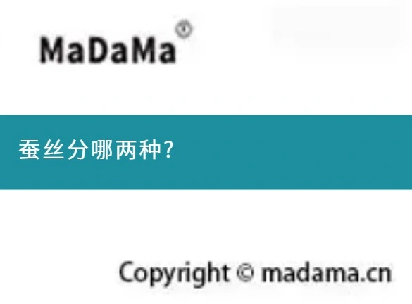 蚕丝分哪两种?