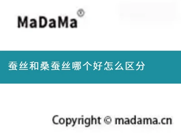 蚕丝和桑蚕丝哪个好怎么区分