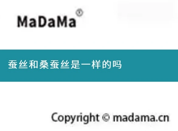 蚕丝和桑蚕丝是一样的吗