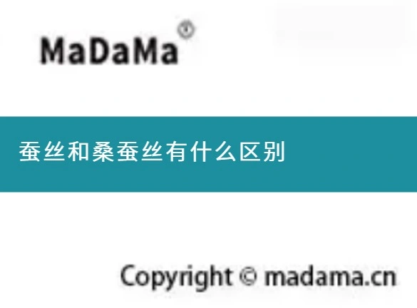 蚕丝和桑蚕丝有什么区别