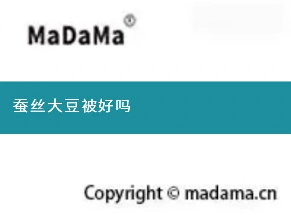 蚕丝大豆被好吗
