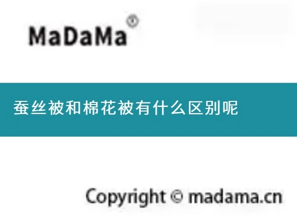 蚕丝被和棉花被有什么区别呢