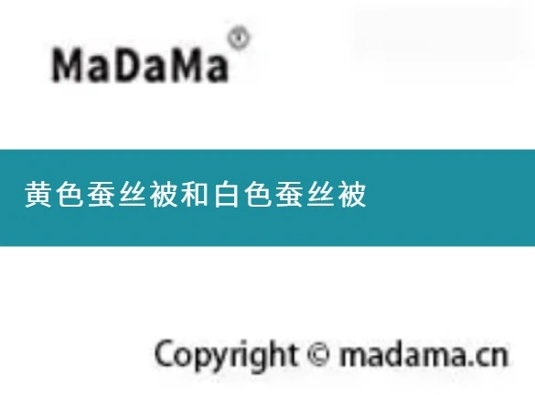 黄色蚕丝被和白色蚕丝被