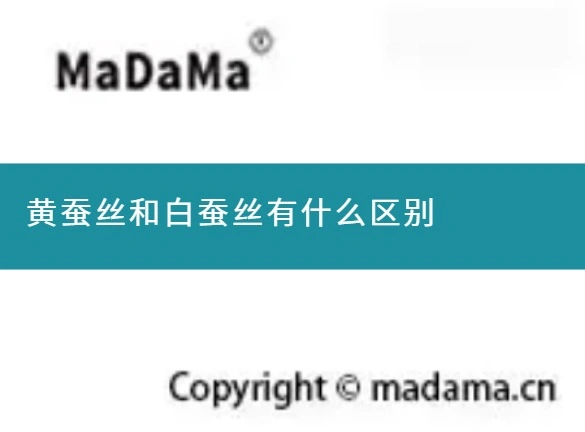 黄蚕丝和白蚕丝有什么区别