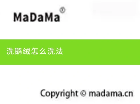 洗鹅绒怎么洗法