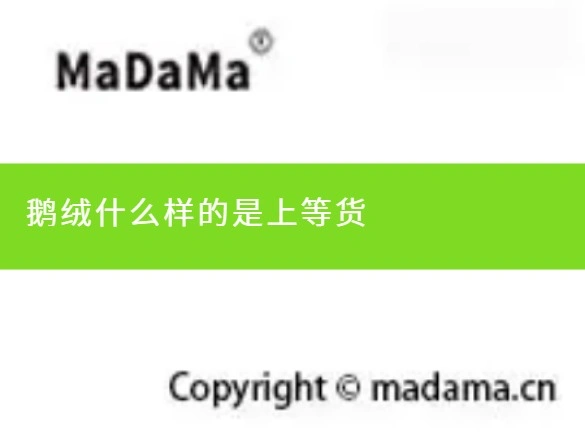 鹅绒什么样的是上等货