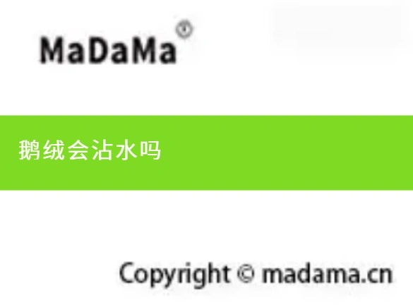 鹅绒会沾水吗