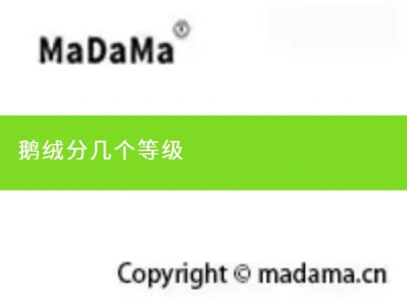鹅绒分几个等级