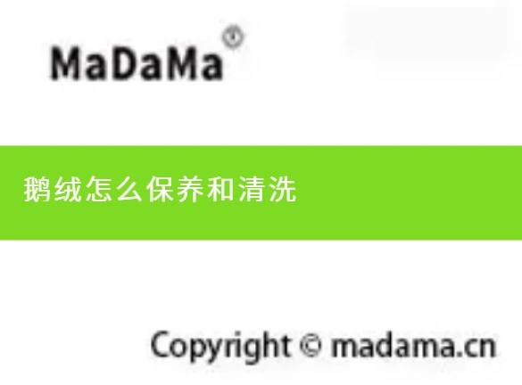 鹅绒怎么保养和清洗