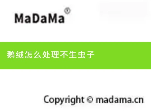 鹅绒怎么处理不生虫子
