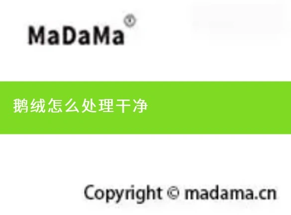 鹅绒怎么处理干净