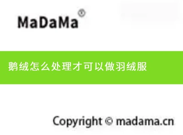 鹅绒怎么处理才可以做羽绒服