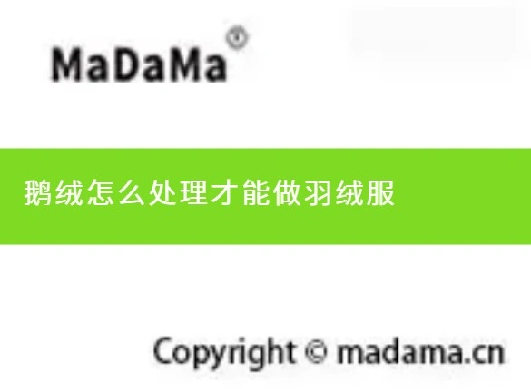 鹅绒怎么处理才能做羽绒服