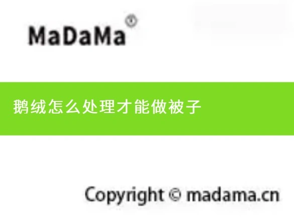 鹅绒怎么处理才能做被子