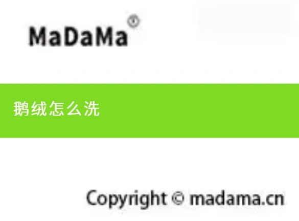 鹅绒怎么洗