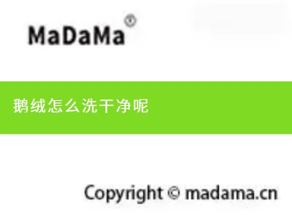 鹅绒怎么洗干净呢