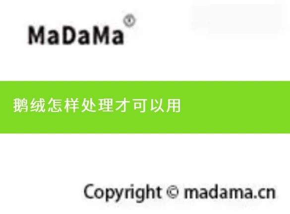 鹅绒怎样处理才可以用