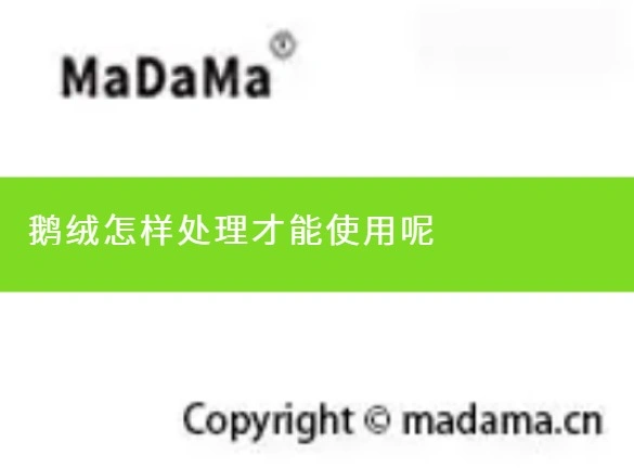 鹅绒怎样处理才能使用呢