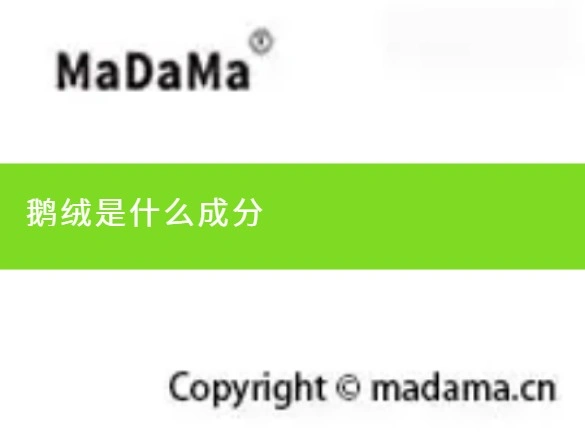 鹅绒是什么成分